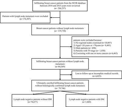 Risk Factors, Prognostic Factors, and Nomogram for Distant Metastasis in Breast Cancer Patients Without Lymph Node Metastasis